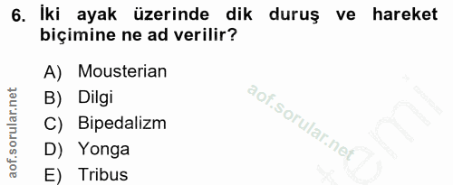 6. soru: İki ayak üzerinde dik duruş ve hareket biçimine ne ad verilir? A) Mousterian B) Dilgi C) Bipedalizm D) Yonga E) Tribus