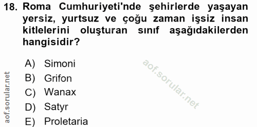 18. soru: Roma Cumhuriyeti'nde şehirlerde yaşayan yersiz, yurtsuz ve çoğu zaman işsiz insan kitlelerini oluşturan sınıf aşağıda…