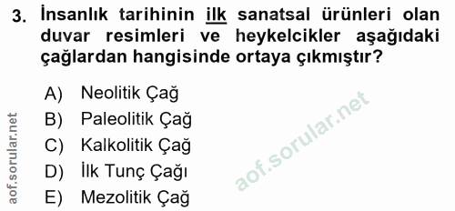 3. soru: Insanlık tarihinin ilk sanatsal ürünleri olan duvar resimleri ve heykelcikler aşağıdaki çağlardan hangisinde ortaya ç…