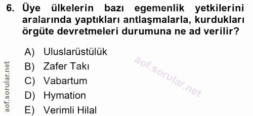 6. soru: Uye ülkelerin bazı egemenlik yetkilerini aralarında yaptıkları antlaşmalarla, kurdukları örgüte devretmeleri durumuna…