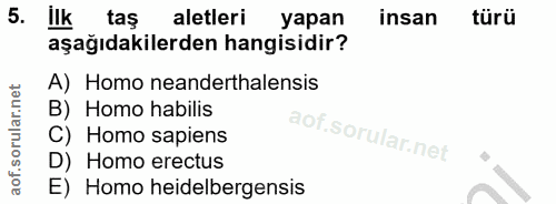 5. soru: ilk tas aletleri yapan insan türü aşağıdakilerden hangisidir? A) Homo neanderthalensis B) Homo habilis C) Homo sapien…