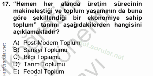 17. soru: "Hemen her alanda üretim sürecinin makineleştiği ve toplum yaşamının da buna göre şekillendiği bir ekonomiye sahip to…