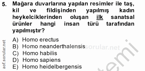 5. soru: Mağara duvarlarına yapılan resimler ile taş, kil ve fildişinden yapılmış kadın heykelcilerinden oluşan ilk sanatsal ü…