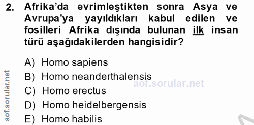 2. soru: Afrika'da evrimleştikten sonra Asya ve Avrupa'ya yayıldıkları kabul edilen ve fosilleri Afrika dışında bulunan ilk in…