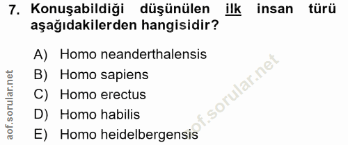 7. soru: Konuşabildiği düşünülen ilk insan türü aşağıdakilerden hangisidir? A) Homo neanderthalensis B) Homo sapiens sorular.n…