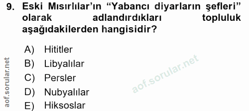 9. soru: Eski Mısırlılar'ın "Yabancı diyarların şefleri" olarak adlandırdıkları topluluk aşağıdakilerden hangisidir? A) Hititl…