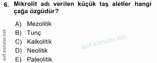6. soru: Mikrolit adı verilen küçük taş aletler hangi çağa özgüdür? A) Mezolitik B) Tunç C) Kalkolitik D) Neolitik E) Paleolitik