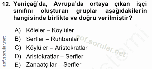 12. soru: Yeniçağ'da, Avrupa'da ortaya çıkan işçi sınıfını oluşturan gruplar aşağıdakilerin hangisinde birlikte ve doğru verilm…