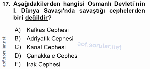17. soru: Aşağıdakilerden hangisi Osmanlı Devleti'nin I. Dünya Savaşı'nda savaştığı cephelerden biri değildir? A) Kafkas Cephes…