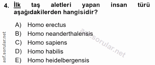 4. soru: ilk taş aletleri yapan insan türü aşağıdakilerden hangisidir? A) Homo erectus B) Homo neanderthalensis C) Homo sapien…