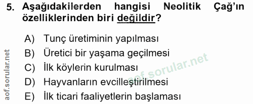 5. soru: Aşağıdakilerden hangisi Neolitik Çağ'ın özelliklerinden biri değildir? A) Tunç üretiminin yapılması B) Üretici bir ya…