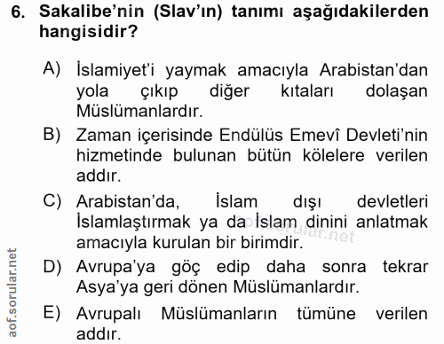 6. soru: Sakalibe'nin (Slav'ın) tanımı aşağıdakilerden hangisidir? A) İslamiyet'i yaymak amacıyla Arabistan'dan yola çıkıp diğ…