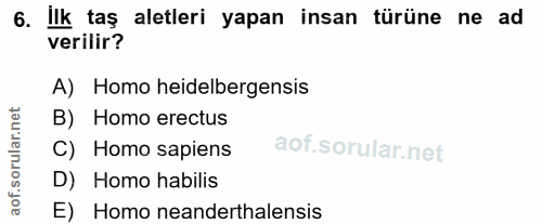 6. soru: Ilk taş aletleri yapan insan türüne ne ad verilir? A) Homo heidelbergensis B) Homo erectus C) Homo sapiens D) Homo ha…