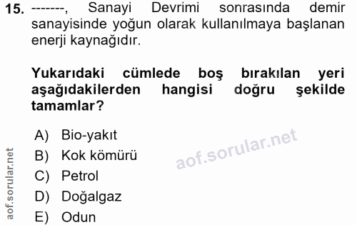 15. soru: Sanayi Devrimi sonrasında demir sanayisinde yoğun olarak kullanılmaya başlanan enerji kaynağıdır. Yukarıdaki cümlede…