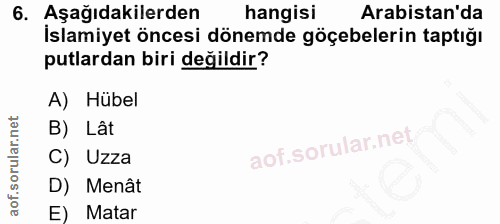 6. soru: Aşağıdakilerden hangisi Arabistan'da İslamiyet öncesi dönemde göçebelerin taptığı putlardan biri değildir? A) Hubel B…