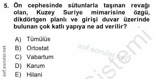 5. soru: Ön cephesinde sütunlarla taşınan revağı olan, Kuzey Suriye mimarisine özgü, dikdörtgen planlı ve girişi duvar üzerind…