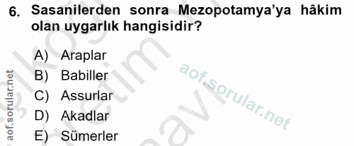 6. soru: Sasanilerden sonra Mezopotamya'ya hâkim olan uygarlık hangisidir? A) Araplar B) Babiller C) Assurlar D) Akadlar E) Sü…