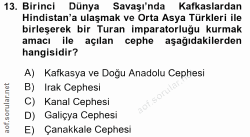 13. soru: Birinci Dünya Savaşı'nda Kafkaslardan Hindistan'a ulaşmak ve Orta Asya Türkleri ile birleşerek bir Turan imparatorluğ…