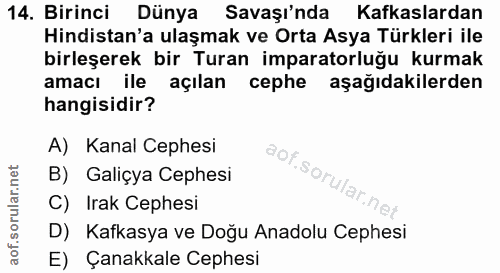 14. soru: Birinci Dünya Savaşı'nda Kafkaslardan Hindistan'a ulaşmak ve Orta Asya Türkleri ile birleşerek bir Turan imparatorluğ…