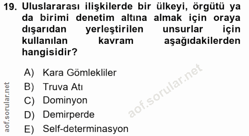 19. soru: Uluslararası ilişkilerde bir ülkeyi, örgütü ya da birimi denetim altına almak için oraya dışarıdan yerleştirilen unsu…