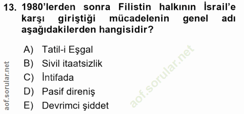 13. soru: 1980'lerden sonra Filistin halkının İsrail'e karşı giriştiği mücadelenin genel adı aşağıdakilerden hangisidir? A) Tat…