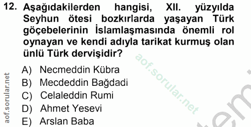 12. soru: Aşağıdakilerden hangisi, XlI. yüzyılda göçebelerinin İslamlaşmasında önemli rol Seyhun ötesi , bozkırlarda yaşayan Tü…