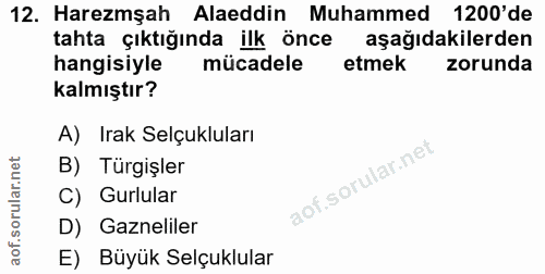 12. soru: Haremşah Alaeddin Muhammed 1200'de tahta çıktığında ilk önce aşağıdakilerden hangisiyle mücadele etmek zorunda kalmış…