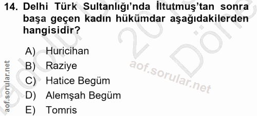 14. soru: Delhi Türk Sultanlığı'nda İltutmuş'tan sonra başa geçen kadın hükümdar aşağıdakilerden hangisidir? A) Huricihan B) Ra…