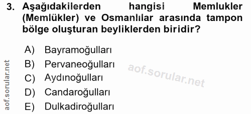 3. soru: Aşağıdakilerden hangisi Memlukler (Memlükler) ve Osmanlılar arasında tampon bölge oluşturan beyliklerden biridir? A)…