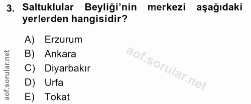 3. soru: Saltuklular Beyliği'nin merkezi aşağıdaki yerlerden hangisidir? Erzurum B) Ankara C) Diyarbakır D) Urfa E) Tokat