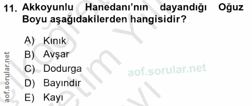 11. soru: Akkoyunlu Hanedanı'nın dayandığı Oğuz Boyu aşağıdakilerden hangisidir? A) Kınık B) Avşar C) Dodurga D) Bayındır E) Kayı
