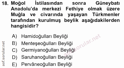 18. soru: Moğol İstilasından sonra Güneybatı Anadolu'da merkezi Fethiye olmak üzere Muğla ve civarında yaşayan Türkmenler taraf…