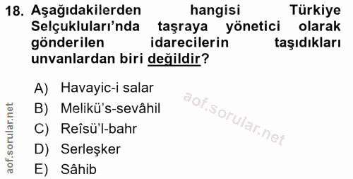 18. soru: Aşağıdakilerden hangisi Türkiye Selçukluları'nda taşraya yönetici olarak gönderilen idarecilerin taşıdıkları unvanlar…
