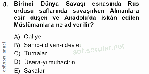 8. soru: Birinci Dünya Savaşı esnasında Rus ordusu saflarında savaşırken Almanlara esir düşen ve Anadolu'da iskân edilen Müslü…