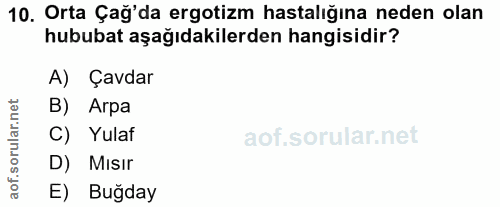 10. soru: Orta Çağ'da ergotizm hastalığına neden olan hububat aşağıdakilerden hangisidir? A) Çavdar B) Arpa C) Yulaf D) MIsır a…