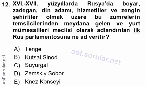 12. soru: XVI.-XVII. yüzyıllarda Rusya'da boyar, zadegan, din adamı, hizmetliler ve zengin şehirliler olmak üzere bu zümrelerin…