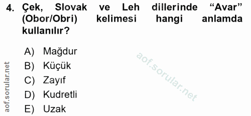 4. soru: Çek, Slovak ve Leh dillerinde "Avar" (Obor/Obri) kelimesi hangi anlamda kullanılır? A) Mağdur B) Küçük C) Zayıf D) Ku…
