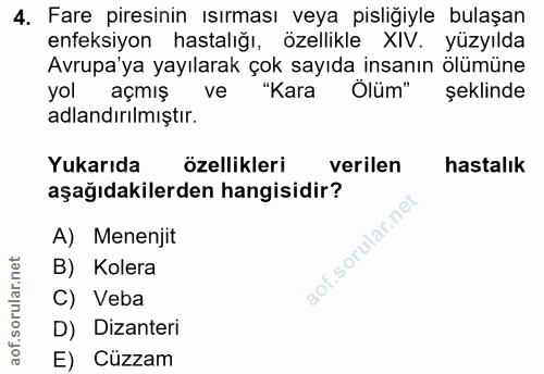 4. soru: Fare presinin ısırması veya pisliğiyle bulaşan enfeksiyon hastalığı, özellikle XIV. yüzyılda Avrupa'ya yayılarak çok…