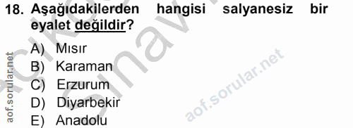 18. soru: Aşağıdakilerden hangisi salyanesız bir eyalet değildir? A) MIsır Karaman C) Erzurum D) Diyarbekir E) Anadolu