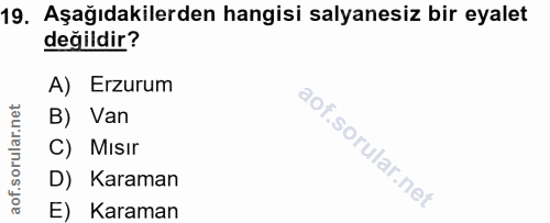 19. soru: Aşağıdakilerden hangisi salyanesiz bir eyalet değildir? A) Erzurum B) Van C) Mısir D) Karaman E) Karaman
