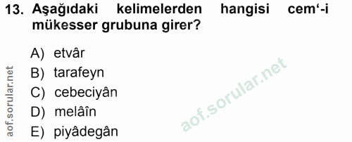 13. soru: Aşağıdaki kelimelerden hangisi cem'-i mükesser grubuna girer? A) etvâr B) tarafeyn C) cebeciyân D) melâîn E) piyâdegân