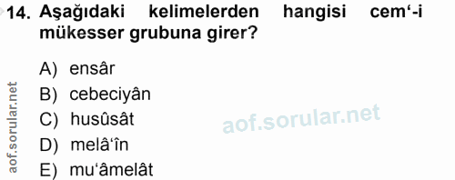 14. soru: Aşağıdaki kelimelerden hangisi cem-i mükesser grubuna girer? A) ensâr B) cebeciyân C) husûsât D) melâ'în E) mu'âmelât