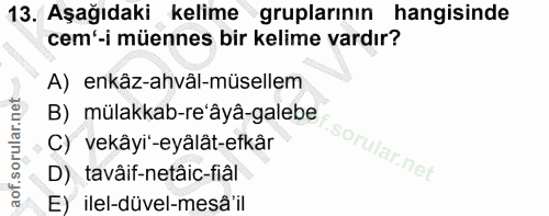13. soru: Aşağıdaki kelime gruplarının hangisinde cem'-i müennes bir kelime vardır? A) enkâz-ahvâl-müsellem B) mülakkab-re'âyâ-…