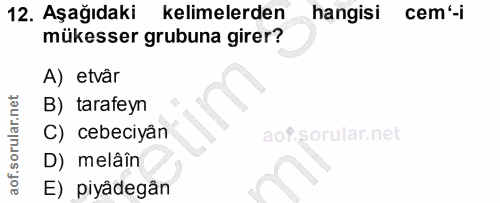 12. soru: Aşağıdaki kelimelerden hangisi cem'-i mükesser grubuna girer? A) etvar B) tarafeyn C) cebeciyân D) melâîn E) piyâdegân