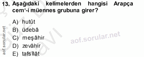 13. soru: Aşağıdaki kelimelerden hangisi Arapça cem'-i müennes grubuna girer? A) hutût B) üdebâ C) meşahir D) zevahir E) tafsîlât