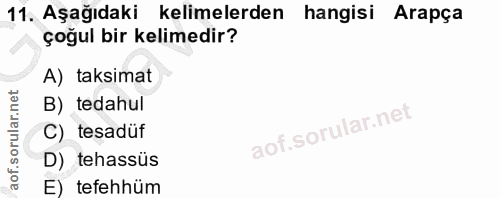 11. soru: Aşağıdaki kelimelerden hangisi Arapça çoğul bir kelimedir? A) taksimat B) tedahul C) tesadüf D) tehassüs E) tefehhüm