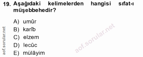 19. soru: Aşağıdaki kelimelerden hangisi sifat-i müşebbehedir? A) umûr B) karîb C) elzem D) lecüc E) mülâyim