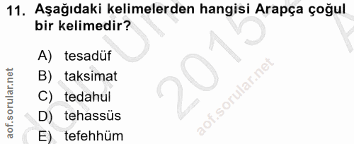 11. soru: Aşağıdaki kelimelerden hangisi Arapça çoğul bir kelimedir? A) tesadüf B) taksimat C) tedahul D) tehassüs E) tefehhüm