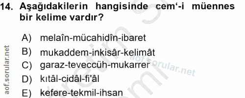 14. soru: Aşağıdakilerin hangisinde cem'-i müennes bir kelime vardır? A) melaîn-mücahidîn-ibaret B) mukaddem-inkisâr-kelimât c)…