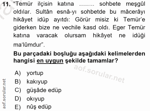 11. soru: "Temür ilçisin katına sohbete meşgûl oldılar. Sultân esnâ-yı sohbetde bu mâcerâyı hikâyet idüp ayıtdı: Görür misiz ki…